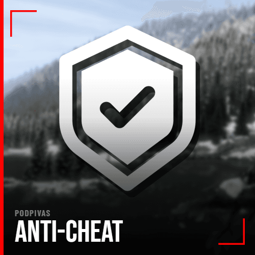 Anti-Cheat